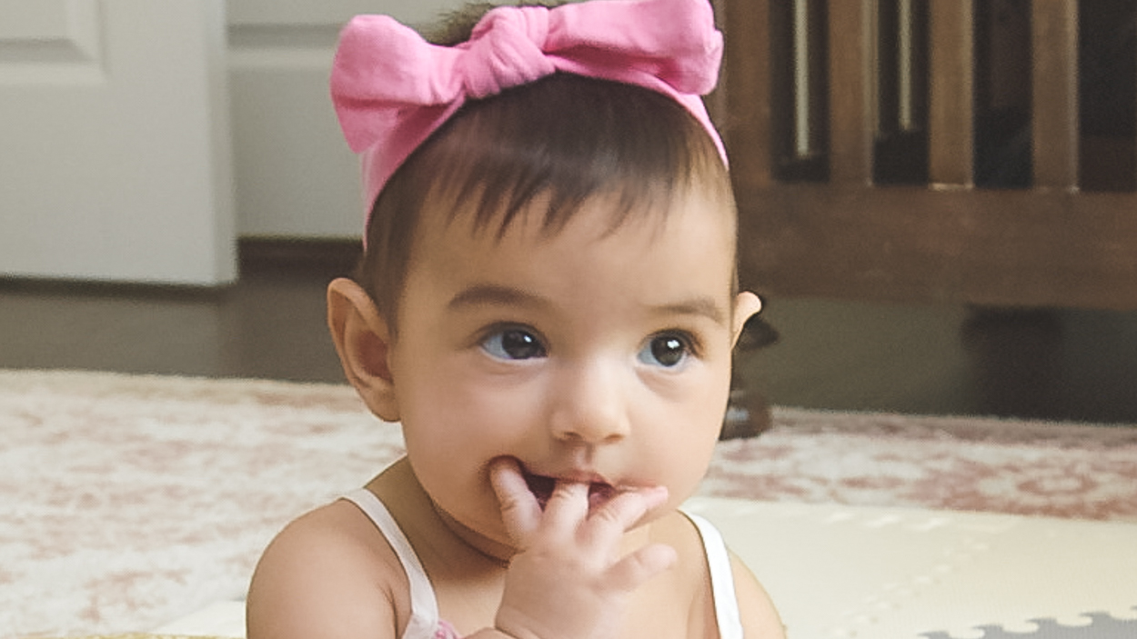 Make Way for Chompers What's Up Moms